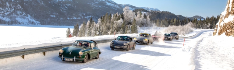 Galerie – Stadt-Land-Fjord-Tour 2022